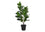 PLANTE ARTIFICIELLE - 28"H / GARCINIA INTERIEUR POT 5"