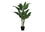 PLANTE ARTIFICIELLE - 42"H / EVERGREEN INTERIEUR POT 5"