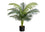 PLANTE ARTIFICIELLE - 34"H / PALMIER INTERIEUR POT 5"