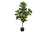 PLANTE ARTIFICIELLE - 47"H / FIDDLE INTERIEUR POT 5"