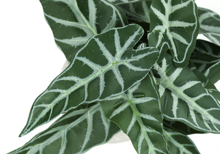 PLANTE ARTIFICIELLE - 2PCS / 8"H ALOCASIA / 5" POT CIMENT