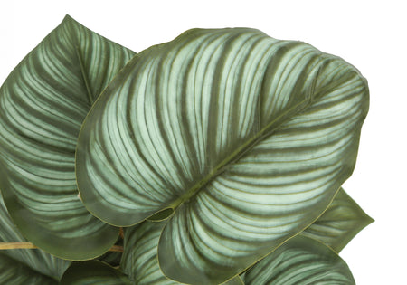 PLANTE ARTIFICIELLE - 2PCS / 13"H EPIPREMNUM / 4" POT